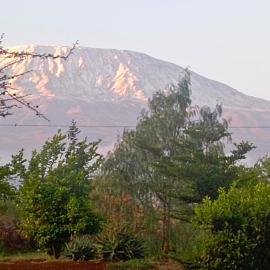 Bushfit, Hotel in Kimana