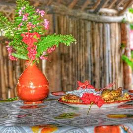 Yasur Adventure Tree house