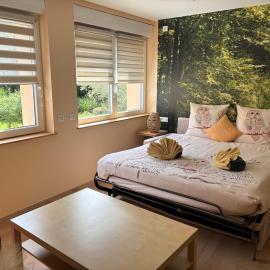 Gîte Forêt 2-4 personnes avec jardin proche Europa-Park, mi-distance entre Strasbourg et Colmar, hotel en Diebolsheim