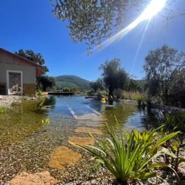 Quinta das Riquezas, hotel Dornesben