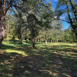 Logement au cœur de la Drôme des collines, Hotel in La Motte-de-Galaure