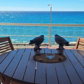Splendide studio front de mer