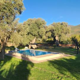 Los Olivos Centenarios, hotel a Órgiva