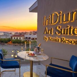 IriDium Art Suites