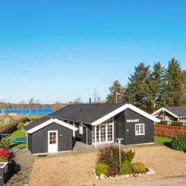 5 star holiday home in Ansager
