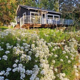 Bluebird Cottage, Hotel in Camano