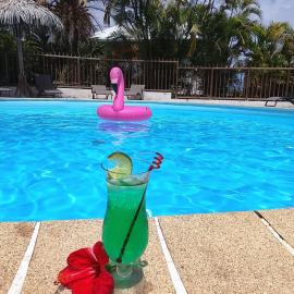 Bungalow La Papaye Bleue Résidence accès Piscine & Plage