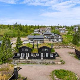 FA1103 Modern Ski-in/Ski-out Trysil Cabin