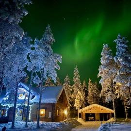 Pine Forest Hideout - Villa Tapiontytär