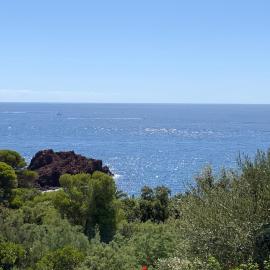 Paradis bleu