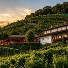 Transylvania House Glottertal