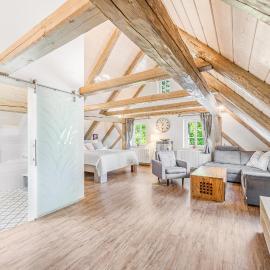 U Švaňďocha Apartments