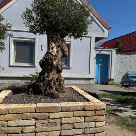 Alla, hotel u gradu Kittsee