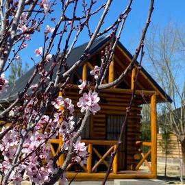 Finca La Vilina - Tiny House, hotel u gradu San Rafael