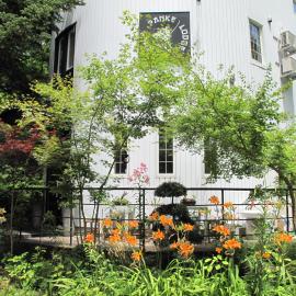 Penke Panke Lodge and Apartments, hotel di Hakuba