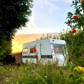 Adria's schuilplaats - Retro caravan bij de kippen