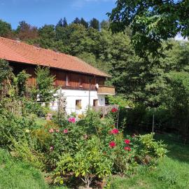 Ferienwohnung Waldrandlage zum Voithenberg