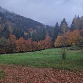 Appartement proche des ballades en forêt, ξενοδοχείο σε Cornimont
