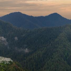 Narkanda Heights by Splendid Retreat Hotels