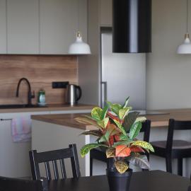 Apartament Skyline