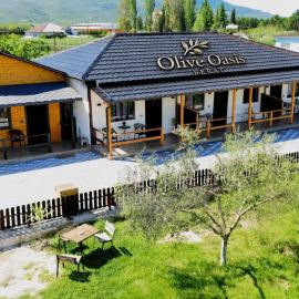 Olive Oasis Studio