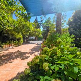 akman pansiyon, hotel en Koycegiz
