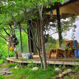 The OWL HOUSE