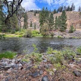The Morel by the River, hotelli kohteessa Naches
