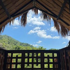 Tribu Hostal Minca