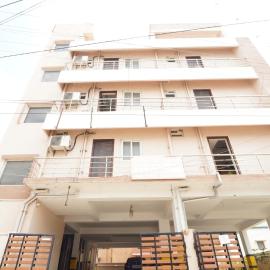 Vangal Nest