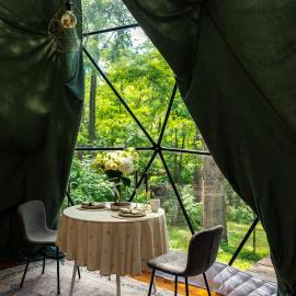 Forest Vibe