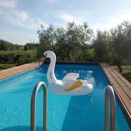 La Camera di Leda