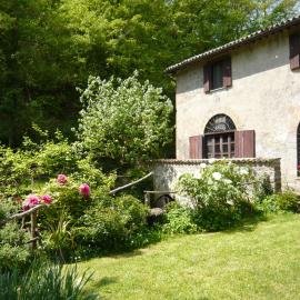 Agriturismo biologico il Molinaccio al Rio Chiaro