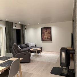 Brand new apartment, centrally located in Alta