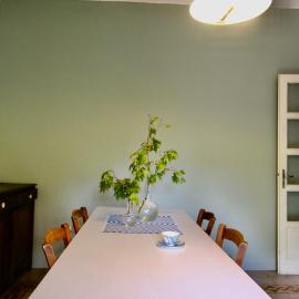 Mavi Home
