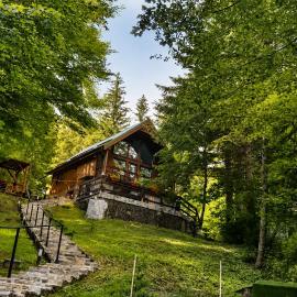 Wild House, hotel a Sinaia