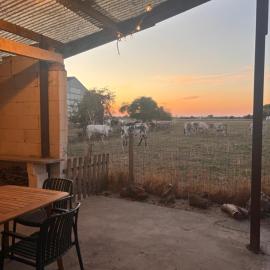 Camperhoeve aan t veld
