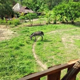 Zipolite में, होटल Rancho Santiago Ecotour