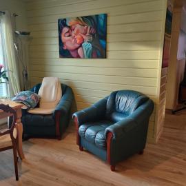 a premium villa with 3 bedrooms, hotel v destinácii Norsjö