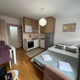 Stari Aerodrom Studio with Private Parking