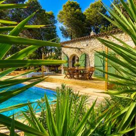 Mas La Pinède - Domaine privée - 1 hectares sans vis à vis