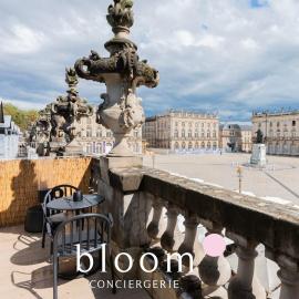 L'Émeraude Stanislas Terrasse privée sur la Place Stanislas