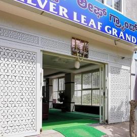 Silver leaf Grand