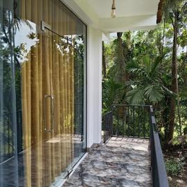 Rainforest canopy - Sinharaja
