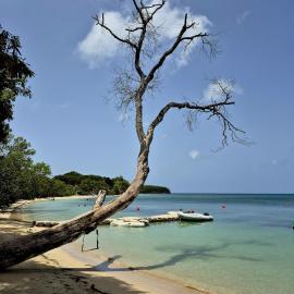 Studio Papaye - confort et calme près des plages