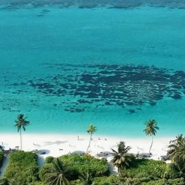 Alesara Guest House, hotel en Thoddoo