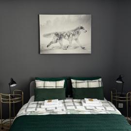 ForRest Apartment Krynica