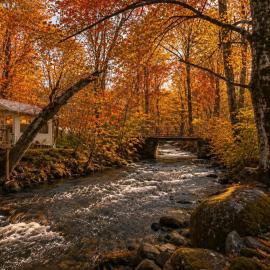 Outdoor Paradise on the Creek - Jacuzzi - Stocked, хотел в Cosby