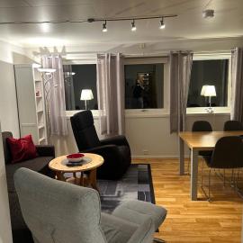 Apartment in Ersfjordbotn 2 bedroom 1 sleeping coach Beds up too 6 persons