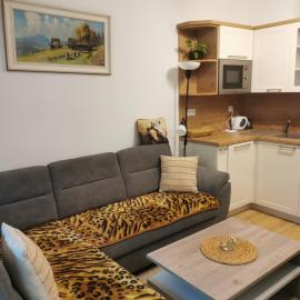 Apartmán pod svatým Hostýnem